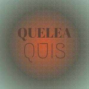 Various Artists的專輯Quelea Quis