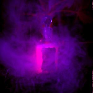 Aray的專輯Amortentia (Explicit)