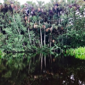 ดาวน์โหลดและฟังเพลง hear me out (Explicit) พร้อมเนื้อเพลงจาก Claude