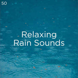 Dengarkan Suara Hujan Untuk Tidur lagu dari Rain Sounds dengan lirik