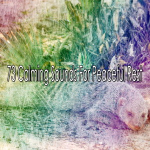 收听Sounds Of Nature的The Peaceful Night歌词歌曲