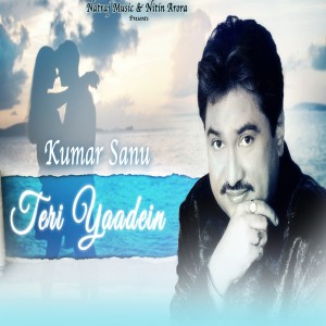 Listen to Teri Yaadein song with lyrics from Kumar Sanu