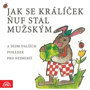 Various Artists的专辑Jak se králíček ňuf stal mužským a sedm dalších pohádek pro nejmenší