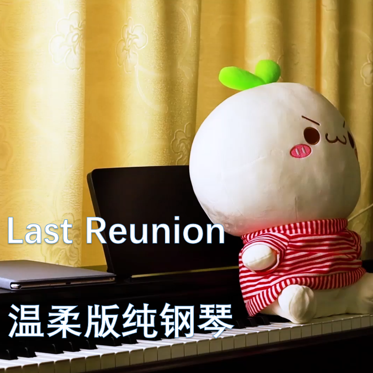 Last Reunion纯钢琴 (完整版)