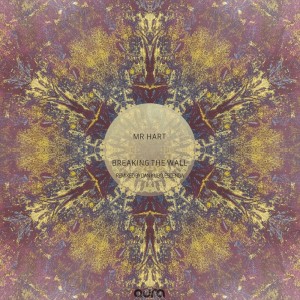 收听Mr Hart的Breaking the Wall (Escenda Remix)歌词歌曲