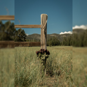 Album Pretty Suicides (Explicit) from Aeonian