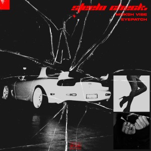 Moksh Vibe的專輯Steelo Check.