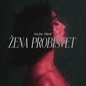 Jošković的專輯Zena probisvet