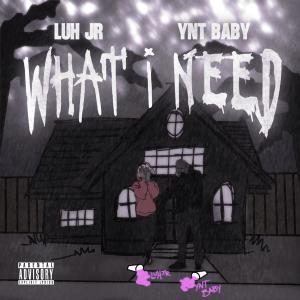 Ynt Baby的專輯What i need (feat. Luh jr) [Explicit]