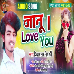 Listen to Janu I Love You song with lyrics from Vidya Sagar Vidharthi
