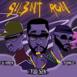ดาวน์โหลดและฟังเพลง Silent Run (Explicit) พร้อมเนื้อเพลงจาก T.O.D SZN