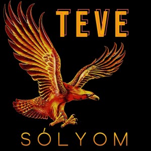 TeVe的专辑Sólyom (Akusztik)