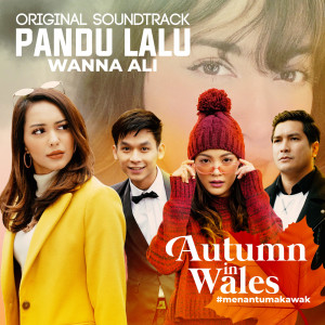 收聽Wanna Ali的Pandu Lalu歌詞歌曲