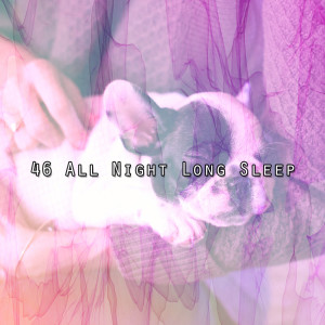 46 All Night Long Sleep