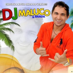 ดาวน์โหลดและฟังเพลง Dança das Gatinhas พร้อมเนื้อเพลงจาก DJ Maluco