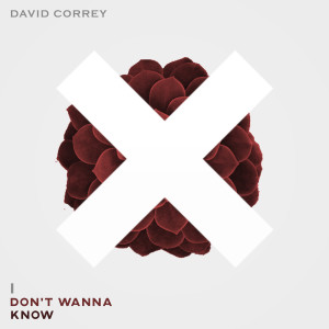 收聽David Correy的I Don't Wanna Know歌詞歌曲
