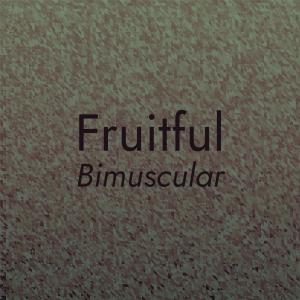 Various的专辑Fruitful Bimuscular