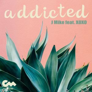 Album Addicted from Xoxo