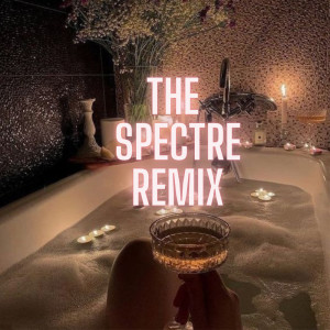 Album The Spectre (Remix) oleh Silent DJ