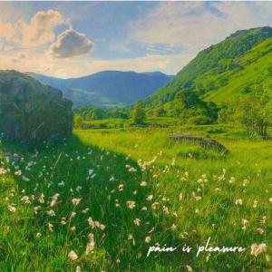 Kid Benzo的專輯Pain Is Pleasure (Explicit)