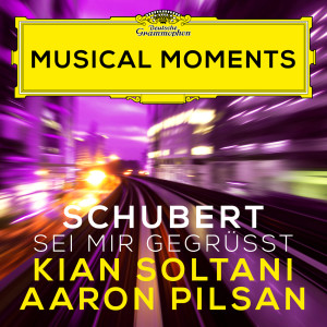 Aaron Pilsan的專輯Schubert: Sei mir gegrüßt, D. 741 (Transcr. for Cello and Piano) (Musical Moments)