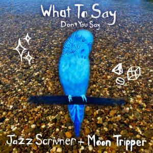 What to say/ Don't you say (feat. Jazz Scrivner) dari Moon Tripper