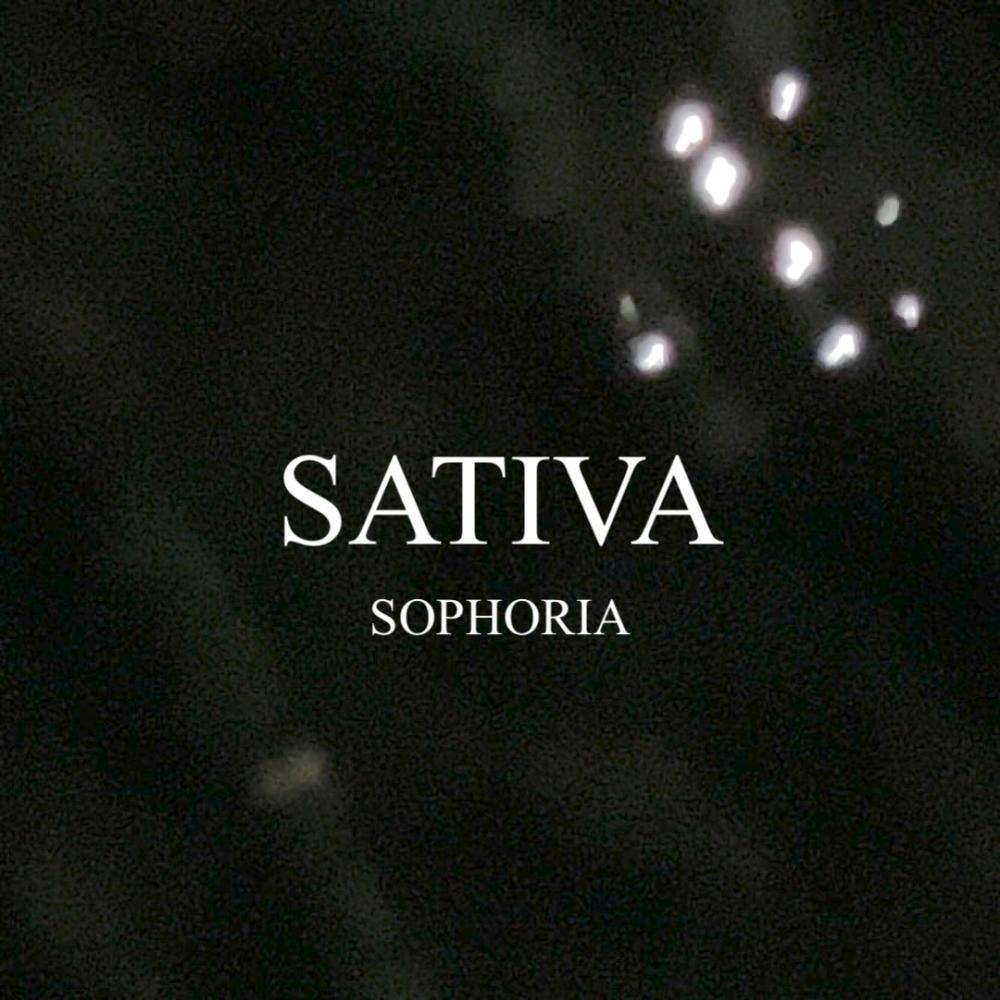 Sativa : Sophoria