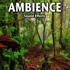 อัลบัม Ambience Sound Effects ศิลปิน Sound Ideas