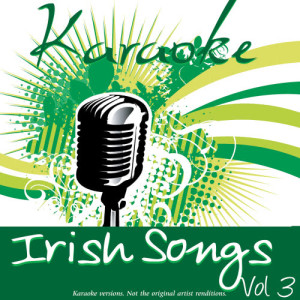 收聽Ameritz的The Galway Girl (In The Style Of Sharon Shannon & Steve Earle)歌詞歌曲