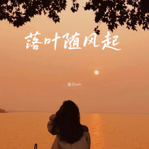 Album 落叶随风起 from 