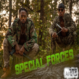 Listen to Special Forces (Explicit) song with lyrics from Majestic