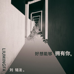 收聽劉銘法的好想能夠擁有你歌詞歌曲