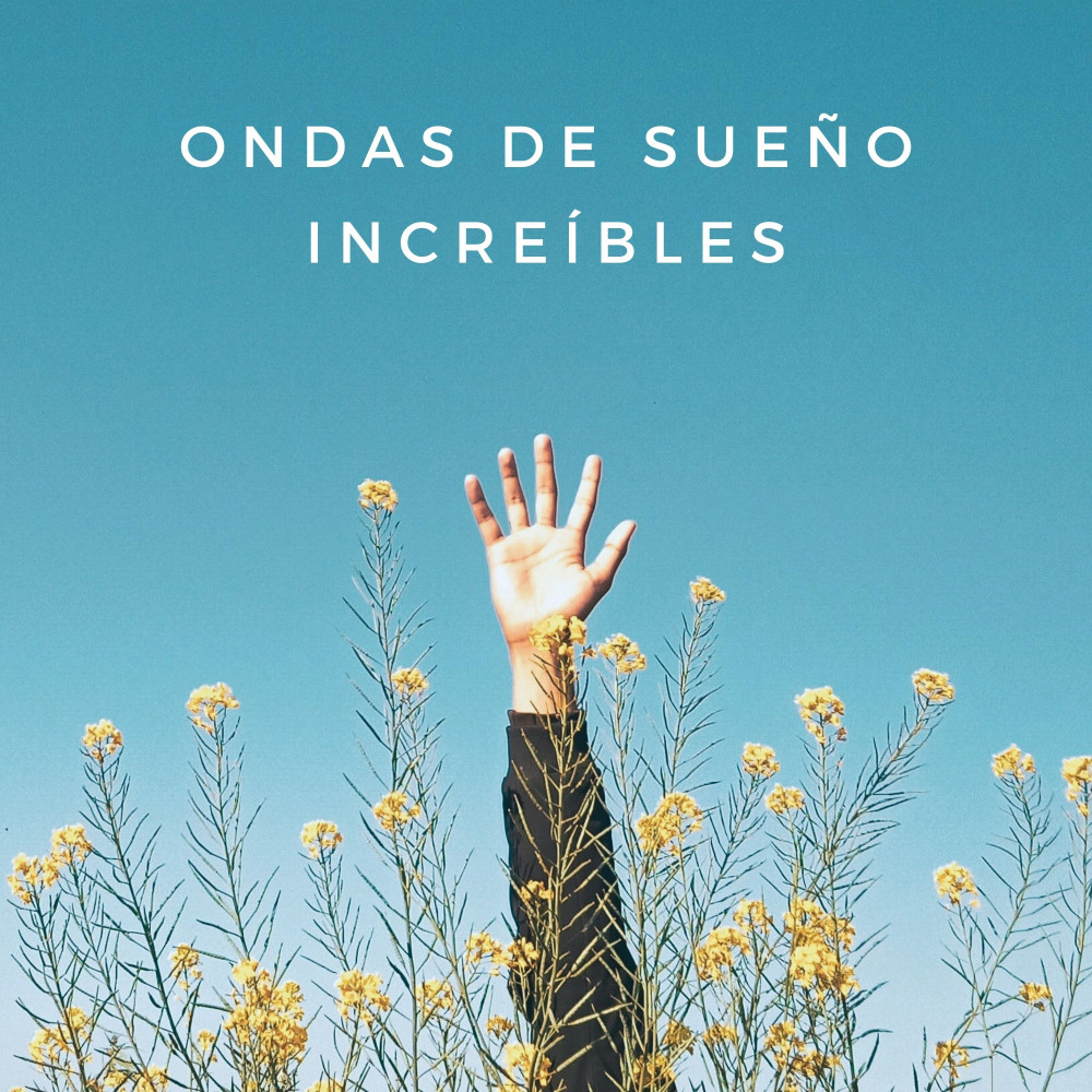 Tono Del Bosque