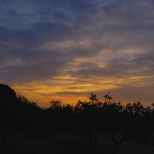 Listen to Vibes song with lyrics from Asgard