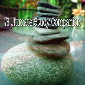 ดาวน์โหลดและฟังเพลง Inspiration พร้อมเนื้อเพลงจาก Meditation