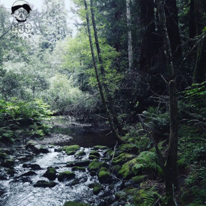 Listen to Sarcophagus II (Explicit) song with lyrics from Ramirez