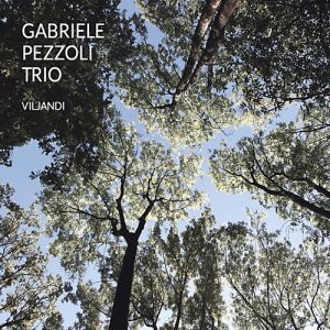 Gabriele Pezzoli Trio的專輯Viljandi