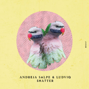 收聽Andreja Salpe的Break the Line (Teniente Castillo Remix)歌詞歌曲