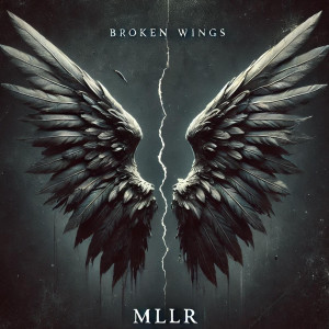 Album Broken Wings (Extended) from Mllr