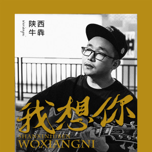 陝西牛犇的專輯我想你