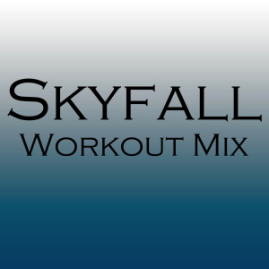ดาวน์โหลดและฟังเพลง Skyfall (Hi Energy Extended Remix) พร้อมเนื้อเพลงจาก Power Music Workout