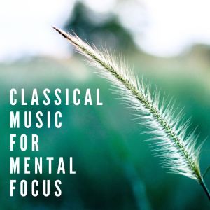 Album Classical Music For Mental Focus from Various Artists