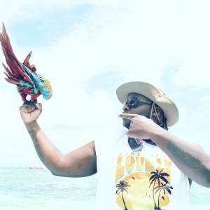 收聽Elixir的Holistic Living (Explicit)歌詞歌曲