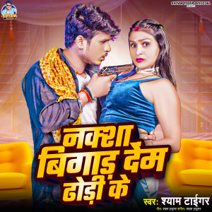 Listen to Nakshaa Bigad Dem Dhodi Ke song with lyrics from Shyam Tiger