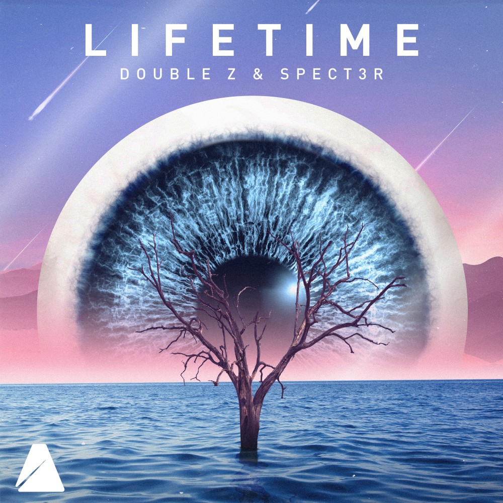 Lifetime