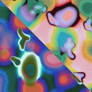 IKTL!的專輯THE SADDEST STORY EVER TOLD.