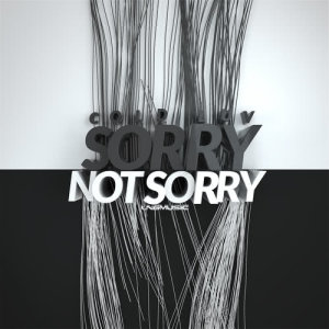 Listen to Sorry Not Sorry (Extended Mix) song with lyrics from Cold Luv
