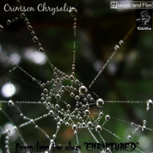 收聽Crimson Chrysalis的Poison歌詞歌曲