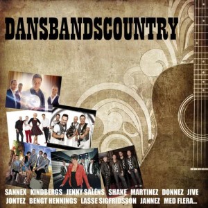 ดาวน์โหลดและฟังเพลง Country Cowboy พร้อมเนื้อเพลงจาก Jenny Saléns