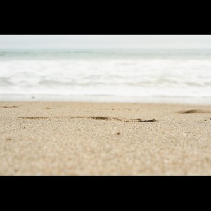 ดาวน์โหลดและฟังเพลง Polar Drone พร้อมเนื้อเพลงจาก Pro Sounds of Nature